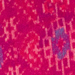 Fuchsia Multi