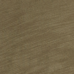 Olive Fern