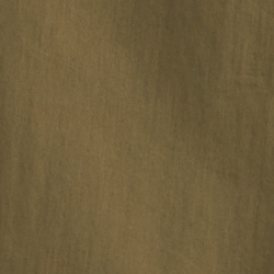 Olive Fern