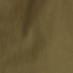Olive Fern