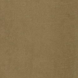 Olive Fern