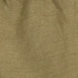 Olive Fern
