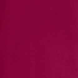 Fuchsia Berry