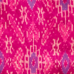 Fuchsia Multi