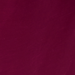 Fuchsia Berry