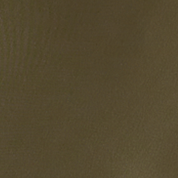 Olive Fern