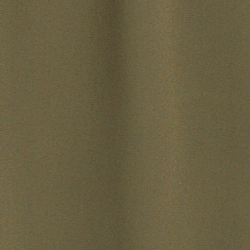 Olive Fern