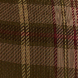 Olive Multi