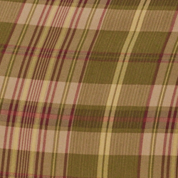 Olive Multi