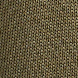 Olive Fern