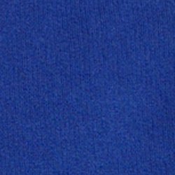 Polo 67 Print