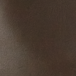 Chestnut Brown