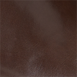 Chestnut Brown