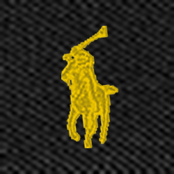 Polo Black