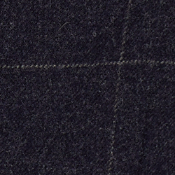 Navy/White Windowpane