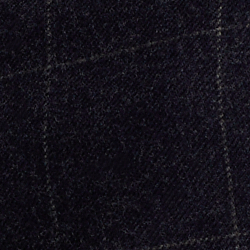 Navy/White Windowpane