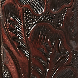 Braun