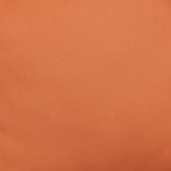 Burnt Orange