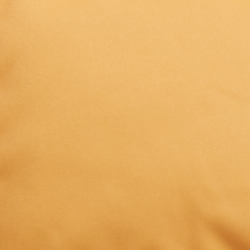 Mountain Yellow