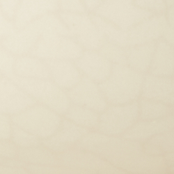 Cream/Black