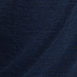 Dark Indigo