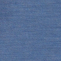 Bastille Blue