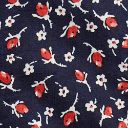 Red Ditsy Floral