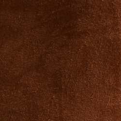 Cinnamon