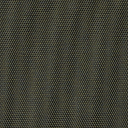 Company Olive