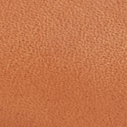 Cuoio/Cream