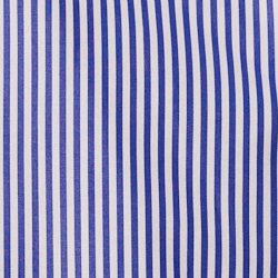Blue/White