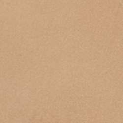 Classic Tan