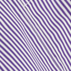 Purple/White