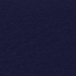 Marine Navy