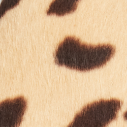 Tan/Black/Cream