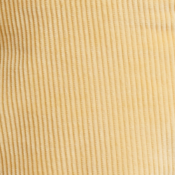 Fall Yellow
