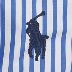 Blue/White