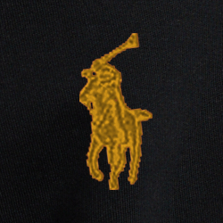 Polo Black