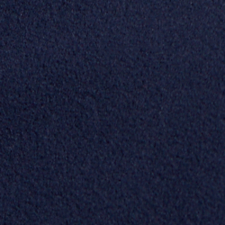 Cruise Navy