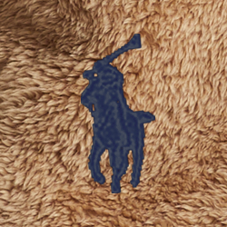 Camel Multi