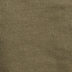 Canopy Olive