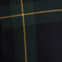 Green/Navy Multi