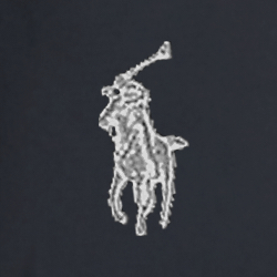 Polo Black