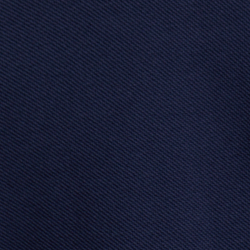 Cruise Navy