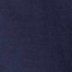 Cruise Navy