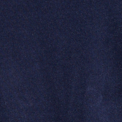 Cruise Navy