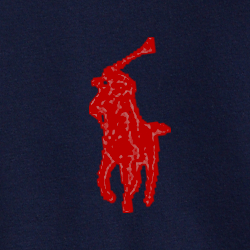 Cruise Navy