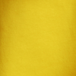 Canary Yellow