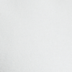 Holiday White