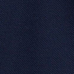 Cruise Navy